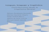 Lenguas, lenguaje y lingüística. - Dadun: Página de iniciodadun.unav.edu/bitstream/10171/40041/1/33.Romero et al.pdf · HACIA UNA SOCIOLINGÜÍSTICA DE LA ESCRITURA. LA ENCUESTA