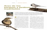 Aves de los parques y jardines madrileños - … · de las aves mas numerosas de nuestra avifauna y cuya distribución se ha limi-tado siempre al entorno humanizado, pueblos y ciudades,