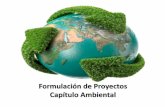Formulación de Proyectos Capítulo Ambiental - … · Previo al inicio de proyectos nuevos ... 9.Otras actividades de servicios sociales y personales . ... •Localización física