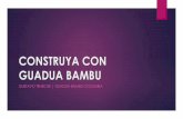 CONATRUYA CON GUADUA BAMBU · Tipo 3 proyecto alto nivel: desde 1’200.000 m2*** ... Gustavo Teneche –Profesional en Construcciones y Obras Civiles (UNAD)