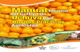 ManualTécnico del Cultivo de Uchuva Bajo Buenas … · Fuente: Anuario Estadístico de Frutas y Hortalizas, 2007-2011 Según un informe de la Universidad Nacional de Colombia, sede