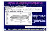 SÍNTESIS DE AMINOÁCIDOS HOMOQUIRALES - …webs.ucm.es/info/btg/personales/andalcan/SINTESIS... · ¾Proceso de enorme importancia, que ha experimentado un enorme incremento en los