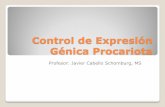 Control de Expresión Génica Procariota - Biotecnología …biotecnologiamolecular.weebly.com/uploads/8/7/1/8/... · 2012-02-27 · modelo genético del Operón que permite comprender