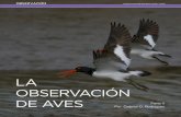 LA OBSERVACIÓN DE AVES - Home - Argentina …argentinambiental.com/wp-content/uploads/pdf/AA64... · imprescindible para caminar por todo tipo de terreno donde seguramente en algún