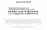 SIGNIFICADO Y APLICACIÓN DE LAS micorrizas micorrizas.pdf · INFORME ~ MICORRIZAS EN AGRICULTURA iversos hongos del suelo desarrollan actividades que benefician la nutrición y salud