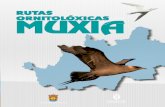 RUTAS ORNITOLÓXICAS MUXIA - Inicio - Concello de …concellomuxia.com/wp-content/uploads/2017/01/guia-de-aves-gal.pdf · A observación de aves silvestres en liberdade, bríndanos