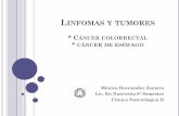 Linfomas y tumores * Cáncer colorectal * cáncer de …instruccionnutricional.weebly.com/uploads/9/0/8/4/9084058/linfomas... · Linfomas: El linfoma es un cáncer de una parte del