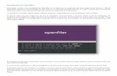Instalación de Openfiler - Technology Grouptecgroup.es/tg/documentos/openfiler/openfiler.pdf · Instalación de Openfiler Para poder realizar una instalación de Openfiler en un