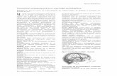 TOPOGRAFÍA CRANEOENCEFÁLICA Y ANATOMÍA DE … · TÉCNICA’QUIRÚRGICA’ Rev. Neurociencias Vol. 1 Num. 2 Septiembre 1997 3 Figura3(trazos’paraventrículos’y’núcleos’