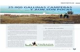 25.000 GALLINAS CAMPERAS Y AUN SON POCASseleccionesavicolas.com/pdf-files/2012/5/6688-25.000-gallinas... · unas 10.000 ponedoras camperas ... gallinas de la nave, puedan ser desmontados