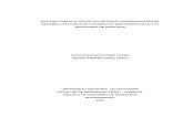 ESTUDIO COMPARATIVO DE LOS MÉTODOS CONVENCIONALES DE …tangara.uis.edu.co/biblioweb/tesis/2006/121941.pdf · estudio comparativo de los mÉtodos convencionales de recobro aplicados