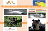GUIA DE ZOONOSIS DE LAS ISLAS BALEARES - … · animales de compañía (perros y gatos), animales exóticos (mamíferos, aves y reptiles) y caballos. ... Laboratorial: técnicas de