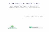 Cultivar Mulato - ciat-library.ciat.cgiar.orgciat-library.ciat.cgiar.org/articulos_ciat/CV Mulato.pdf · que respondan a la diversidad del paisaje ganadero representado por climas