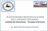 Unidad de Anestesia - Terapia Intensiva - Gmemigmemi.org.mx/hist/pdf/PacQuem/clase-bloqueadores-neuromusc-pac... · EN EL PACIENTE QUEMADO. Unidad de Anestesia - Terapia Intensiva