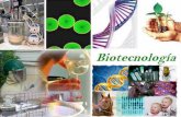 BIOTECNOLOGÍA - I.E.S "POETA CLAUDIO …iespoetaclaudio.centros.educa.jcyl.es/sitio/upload/biotecnologia... · CROMATOGRAFÍA EN PAPEL ... RESUMEN DE LA CLONACIÓN GÉNICA EN BACTERIAS