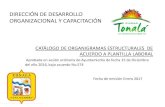 DIRECCIÓN DE DESARROLLO ORGANIZACIONAL Y …tonala.gob.mx/portal/wp-content/.../02/Organigramas-Estructurales-2… · Organigrama Estructural Dirección de Desarrollo Organizacional