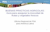 BUENAS PRACTICAS AGRICOLAS: Guía para …ue.procolombia.co/sites/default/files/documentos/FDA/Buenas... · – Rastreo . 6 Riesgo Microbiológico • Microorganismos patógenos al