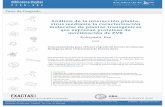 Análisis de la interacción planta- virus mediante la ...digital.bl.fcen.uba.ar/download/tesis/tesis_n3437_Kobayashi.pdf · Genética y Biología Molecular (CONICET) Departamento