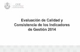 Evaluación de Calidad y Consistencia de los Indicadores de …sistemas.cgever.gob.mx/2013/etica%20buen%20gobierno/... · 2013-11-19 · Evaluación de Calidad y Consistencia de Indicadores