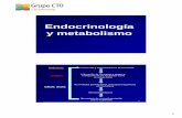 Endocrinología y metabolismo - ctoenfermeria.com€¦ · hiperosmolar Insulina, dieta y ejercicio Tratamiento ... – Estructura similar al GLP-1 intestinal, pero no se degrada por