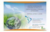 Presentaci n Centro Coordinador Basilea · Mercurio -2013 (sesión del ... ambiente derivados del uso de ... – Proyecto Minimización y manejo ambientalmente seguro de desechos