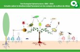 Presentación de PowerPoint - cropprotection.escropprotection.es/start/wp-content/uploads/2015/09/ISBN_Altea... · Imprenta: Reprografía UPV. Estudio sobre la biodiversidad funcional
