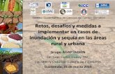 Sistema Guatemalteco de Ciencias del Cambio Climático · Reducción de infiltración en zonas de recarga hídrica. ... litorales marinos y lacustres frente al déficit de agua (semillas
