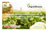 Aportes socioeconómicos de la industria melonera … · 2016-09-06 · Retos de competitividad de la industria melonera Hondureña en el mundo. a. ... en el volumen de producción.