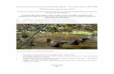 Presencia del mono huapo rojo (Cacajao calvus … · Proyecto: Conservación de fauna silvestre en la cuenca del Samiria, Reserva Nacional Pacaya Samiria (RNPS) ... paiche (Arapaima