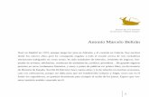 Antonio Marcelo Beltrán - Portal del Centro de Estudios ... datos/Literatura/6170.pdf · ... he sido estudiante de Derecho, vendedor de ... gorras y camisetas antes de ... Estación