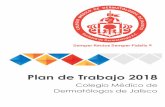 Copia de Plan de Trabajo 2018 - 1.3.1 · Septiembre 2018 Sesión Ordinaria Antioxidación en dermatología clínica: de la evidencia a la ... Sábado 22 de Septiembre 2018 Taller
