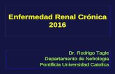 Enfermedad Renal Crónica 2016 - Senferdialt · Definición de Enfermedad Renal Crónica Presencia de un Filtrado Glomerular inferior a 60 mL/min/1,73 m2 Lesión o daño Renal: -