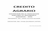 CREDITO AGRARIO - APIA – ASOCIACION PERUANA DE ...apiaperu.com/documentos/creditoagrario.pdf · etapas de las Cajas Rurales de Ahorro y Crédito y en la medida que ... fuera de