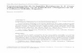 Caracterización de la familia Betulaceae S. F. Gray ...tmgb.museucienciesjournals.cat/files/TMGB-vol-5-pp-171-211.pdf · actuales, para lo cual hemos tomado como referencia los pliegos