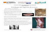 Patología del Aparato Extensor fotocopiastraumazaragoza.com/traumazaragoza.com/Doc._Rodilla_files/Rodilla... · -Tendinitis de la pata de ganso: suele encontrarse una teno-bursitis.