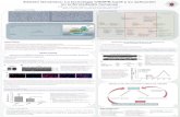 Edición Genómica: La tecnología CRISPR-Cas9 y su ...147.96.70.122/Web/TFG/TFG/Poster/PATRICIA HINOJAR MERIN.pdf · Edición Genómica: La tecnología CRISPR-Cas9 y su aplicación
