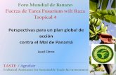 Foro Mundial de Banano Fuerza de Tarea Fusarium …€¦ · Fuerza de Tarea Fusarium wilt Raza Tropical 4 ... (2) Apoyar la adopción ... redes de colaboración e intercambio que