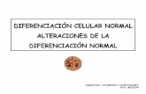 DIFERENCIACIÓN CELULAR NORMAL ALTERACIONES DE LA ... · Alteraciones de la diferenciación celular normal 1.- Metaplasia (“cambio de forma”) Metaplasia escamosa del epitelio