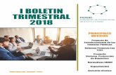 I BOLETIN TRIMESTRAL 2018 - fedeac.comfedeac.com/wp-content/uploads//I-BOLETIN.pdf · Fortalecimiento de las Finanzas Públicas Reforma Proyecto Ley 7391 Proyecto Sistema Protección