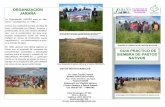 ORGANIZACIÓN LOS RECURSOS JARAÑA … DE PASTOS NATIVOS.pdf · SIEMBRA DE PASTOS NATIVOS La Organización JARAÑA nace en Mar-quina—Cochabamba, en 1992. ... producción del ganado