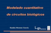 Modelado cuantitativo de circuitos biológicospdg.cnb.csic.es/pazos/cursos/bionet_UAM/model_cuant_circuitos.pdf · Modelado cuantitativo de circuitos biológicos ... Funciones de