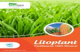 Litoplant FICHA TECNICA - galgaperu.comgalgaperu.com/wp-content/uploads/2017/01/Litoplant-FICHA-TECNICA.… · Almacigo Campo def. Cultivo Dosis Momento de aplicación Después del