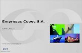 Empresas Copec S - Bolsa de Santiago de Archivos/Emisores/11 COPEC… · • Empresas Copec es una de las compañías públicas más grandes de Chile. ... Cash 2012 2013 2014 2015