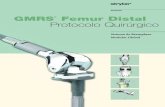 Ortopedia GMRS Femur Distal Protocolo Quirúrgico - …€¦ · Ortopedia GMRS® Femur Distal Protocolo Quirúrgico Sistema de Reemplazo Modular Global X 10mm 5mm 10mm-2-4 N