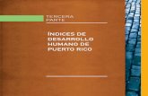 ÍNDICES DE DESARROLLO HUMANO DE PUERTO RICO · INTRODUCCIÓN A pesar de que no existe un modelo genérico sobre el contenido de los informes sobre desarrollo humano, el Índice de