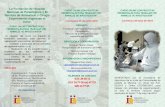 La Fundación de Hospital Nacional de Parapléjicos y El ...hnparaplejicos.sescam.castillalamancha.es/.../ok_triptico...2018.pdf · Cuidado y eutanasia de los animales de experimentación