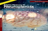 Revista Mexicana de Neurocienciarevmexneuroci.com/wp-content/uploads/2017/03/... · aplicación de la terapia en espejo es promover el reclutamiento de las neuronas en espejo para
