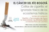 Presentación de PowerPoint - redcolombianafa.orgredcolombianafa.org/documentos/Dia1-Cancer-Rio-Bogota-Colillas... · Introducción 1300 millones de fumadores en el mundo (Pontificia