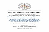 Facultad de Ciencias Económicas y Empresarialesuvadoc.uva.es/bitstream/10324/8453/1/TFG-E-23.pdf · 3 apÉndices: i. catÁlogo de las nia-es adoptadas por el instituto de contabilidad
