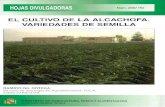 EL CULTIVO DE LA ALCACHOFA. VARIEDADES DE … · En la cuenca mediterránea se obtiene, aproxin^adamente, el 90% de la producción mundial de alcachofa, que se encuentra estabilizada